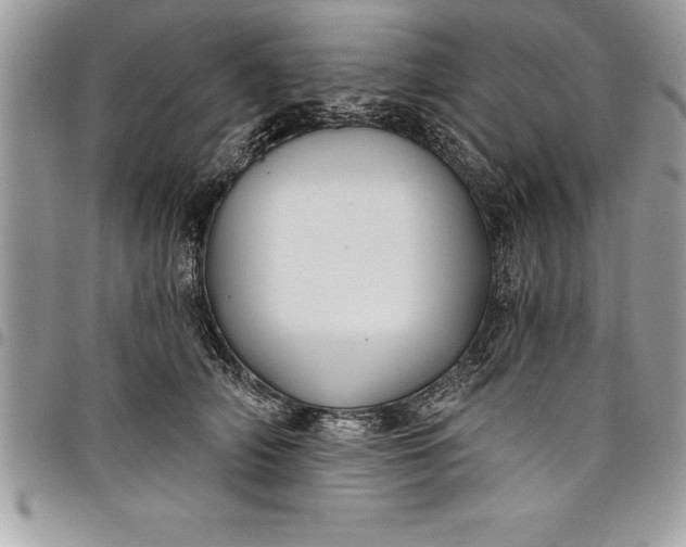 X0000097890706200803281246