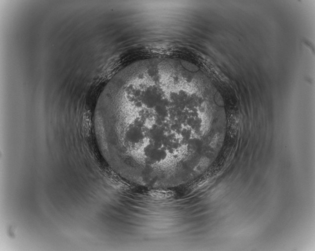 X0000097890707200803281246