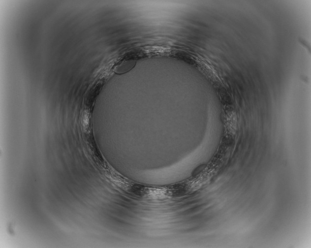 X0000097890709200803281246