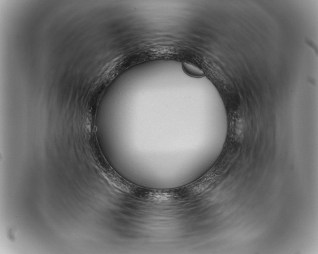 X0000097890710200803281246