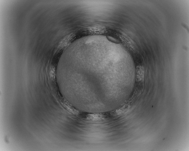 X0000097890713200803281246