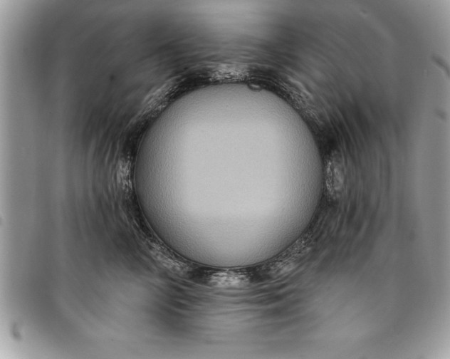 X0000097890714200803281246