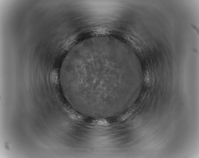 X0000097890715200803281246