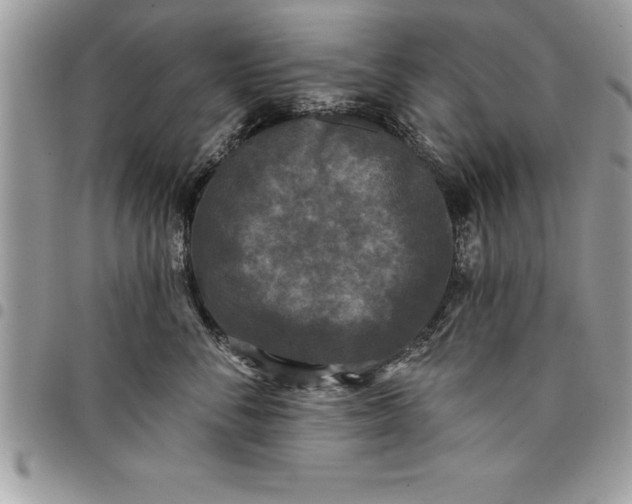 X0000097890716200803281246