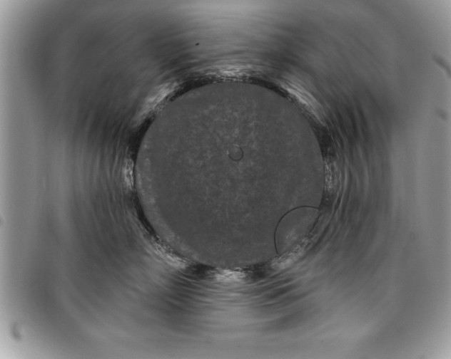 X0000097890718200803281246