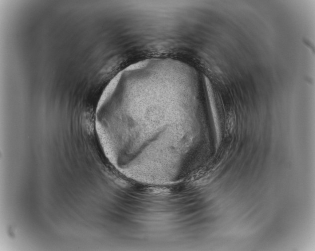 X0000097890719200803281246