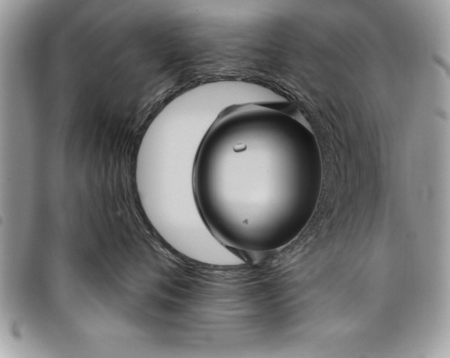 X0000097890720200803281246