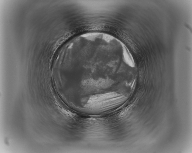 X0000097890721200803281245