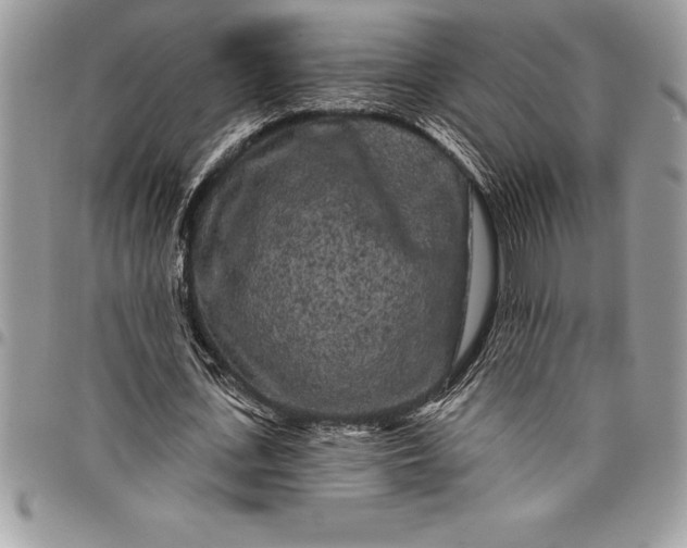 X0000097890723200803281245