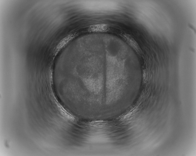 X0000097890725200803281245