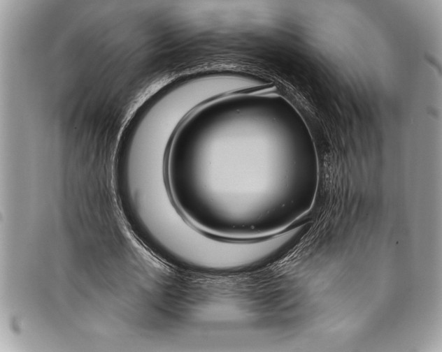 X0000097890726200803281245