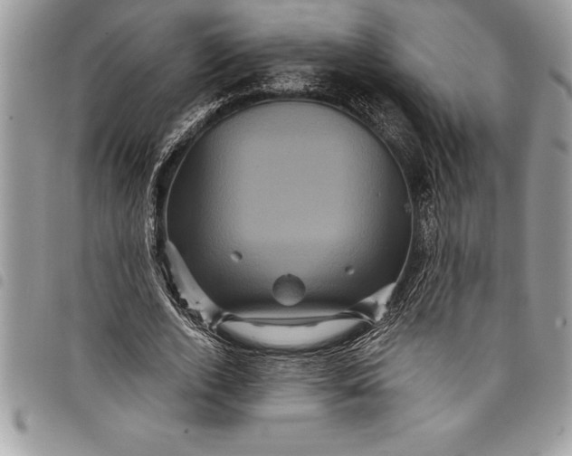 X0000097890728200803281245