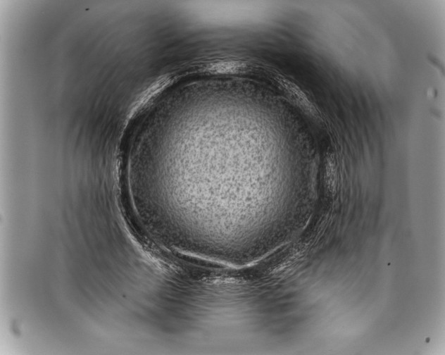 X0000097890730200803281245