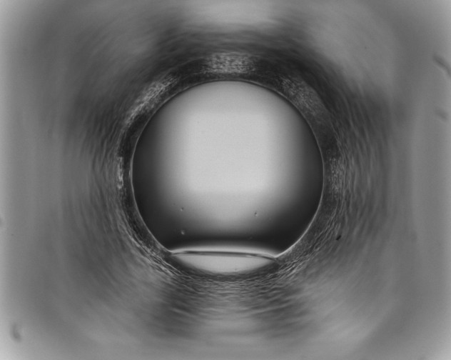 X0000097890731200803281245