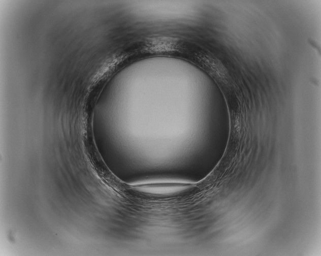 X0000097890732200803281245