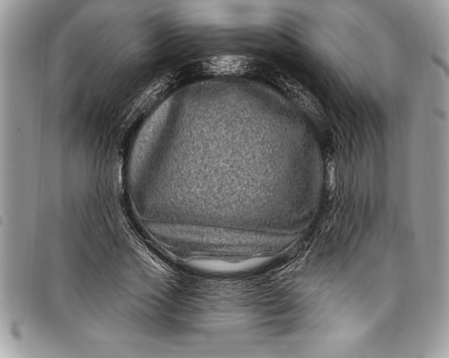 X0000097890733200803281245