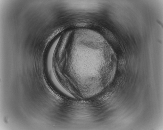 X0000097890734200803281245