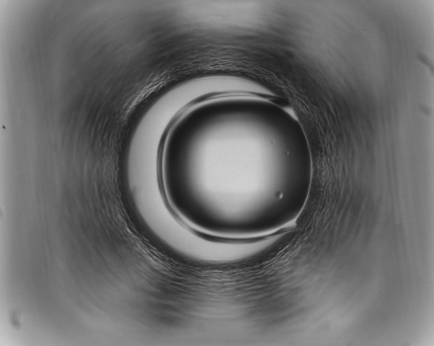 X0000097890735200803281245