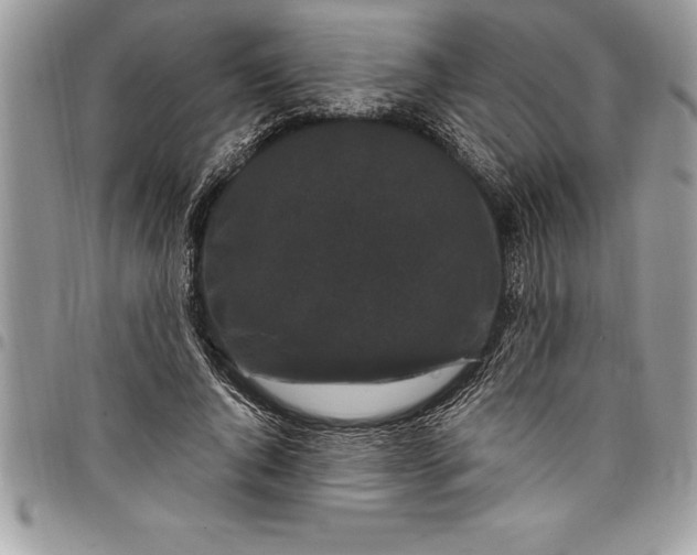 X0000097890736200803281245