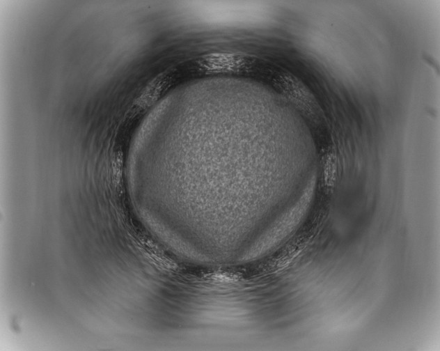 X0000097890737200803281245