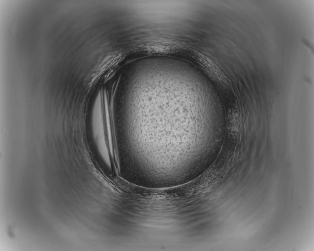 X0000097890738200803281245