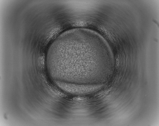 X0000097890739200803281245