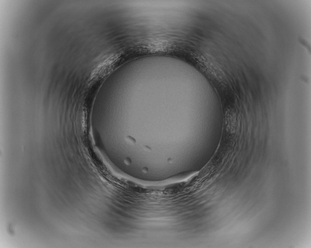 X0000097890740200803281245