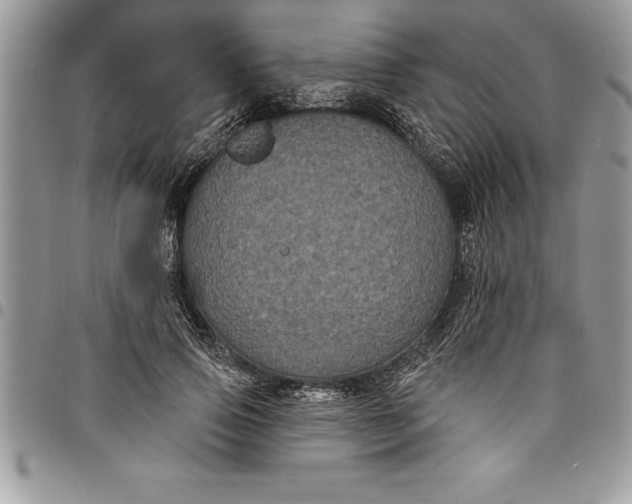 X0000097890741200803281245