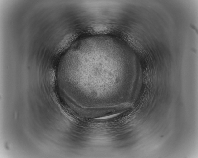 X0000097890742200803281245