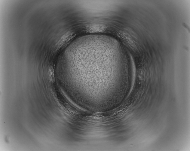 X0000097890743200803281245