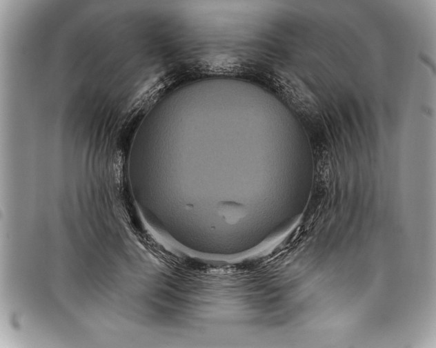 X0000097890744200803281245