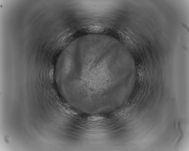 X0000097890745200803281245