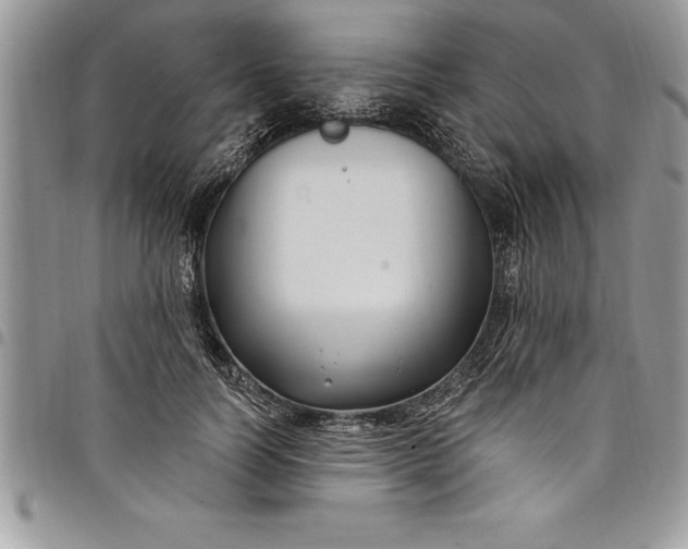 X0000097890746200803281245