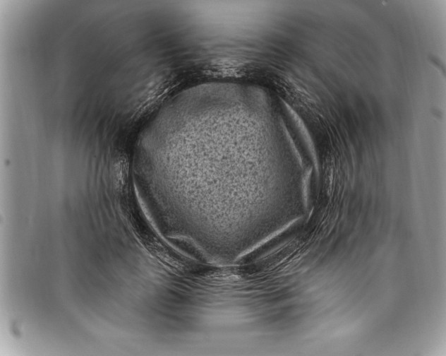 X0000097890747200803281245