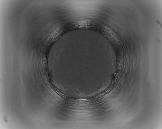 X0000097890748200803281245