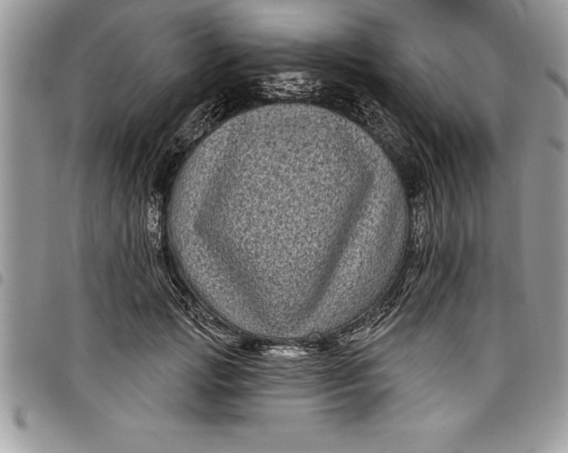 X0000097890749200803281245