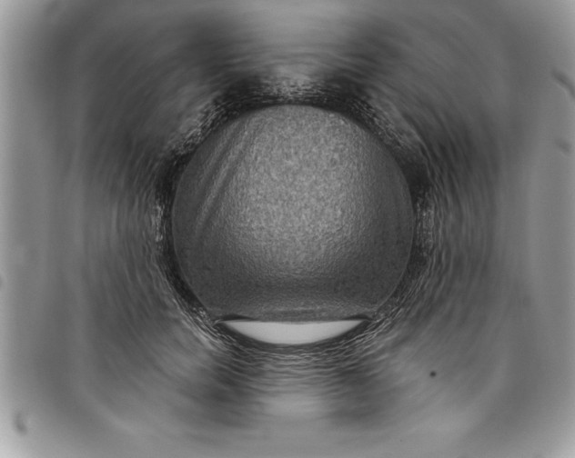 X0000097890750200803281245