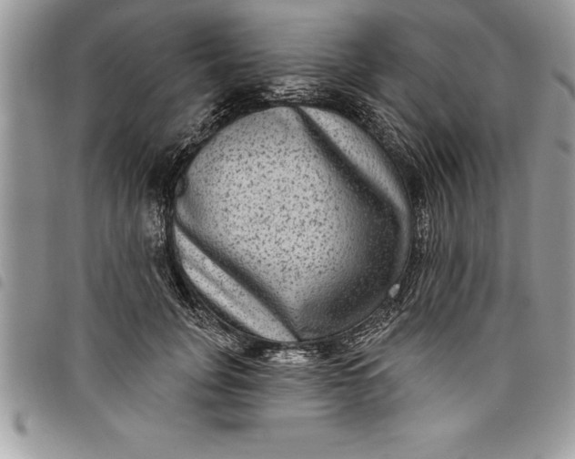 X0000097890751200803281245