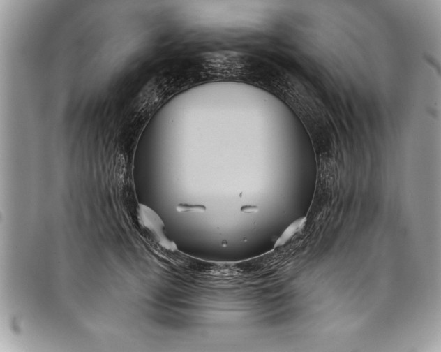 X0000097890752200803281245