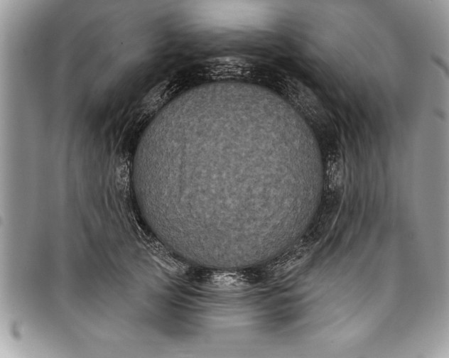 X0000097890753200803281245