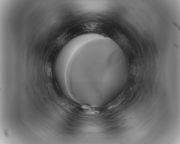 X0000097890754200803281245