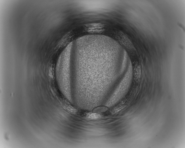 X0000097890755200803281245