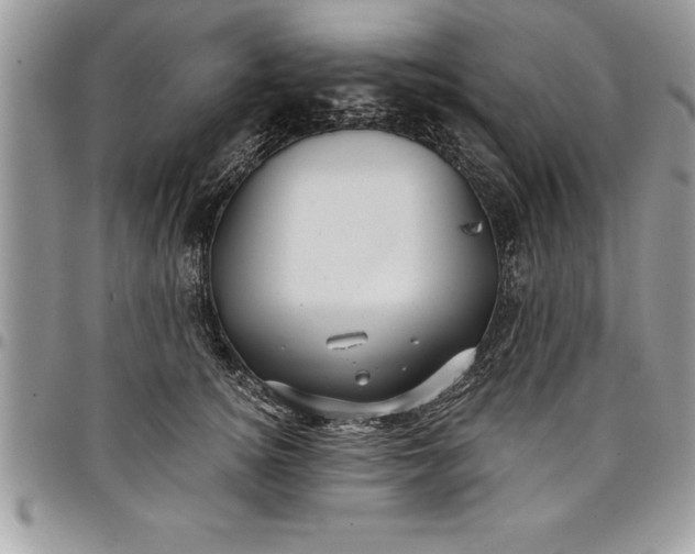 X0000097890756200803281245