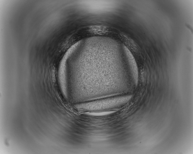 X0000097890757200803281245