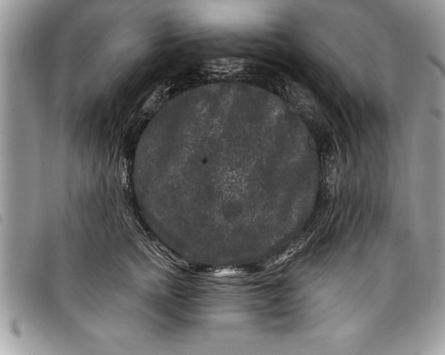 X0000097890758200803281245