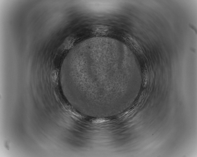 X0000097890759200803281245