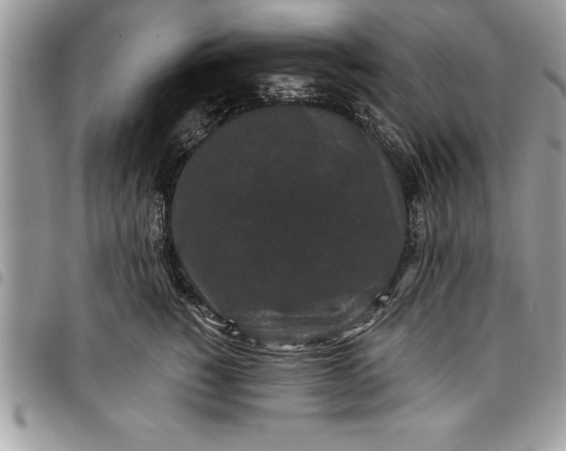 X0000097890760200803281245