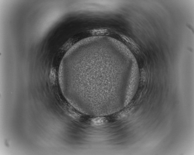 X0000097890761200803281246