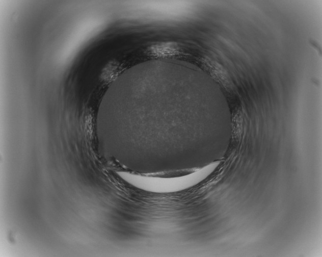 X0000097890762200803281246