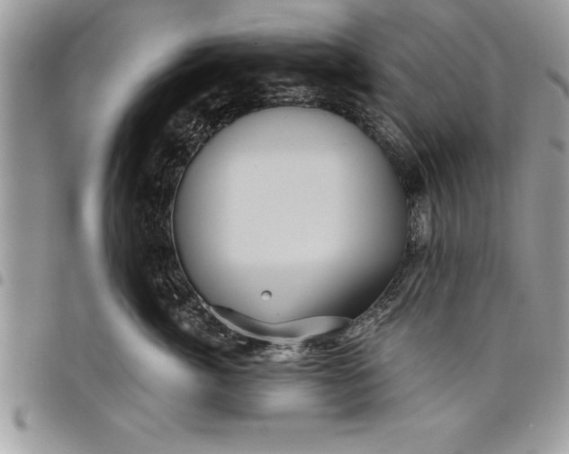 X0000097890764200803281246